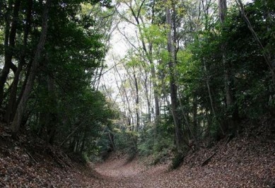 �k 2�^3 �l�@���̓� �����y�̓�