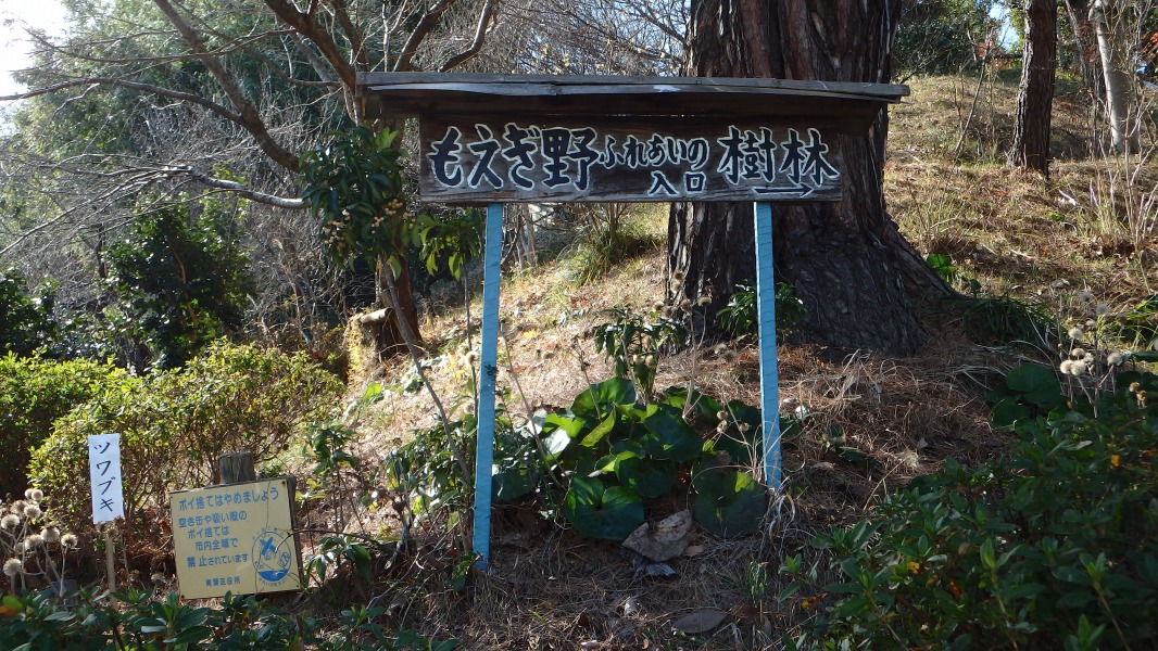 �m 1�^34 �n�@�u��������ӂꂠ���̎��с@���� �� �v��