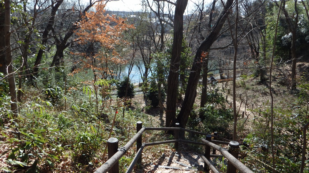 �m 17�^34 �n�@������������̒r��