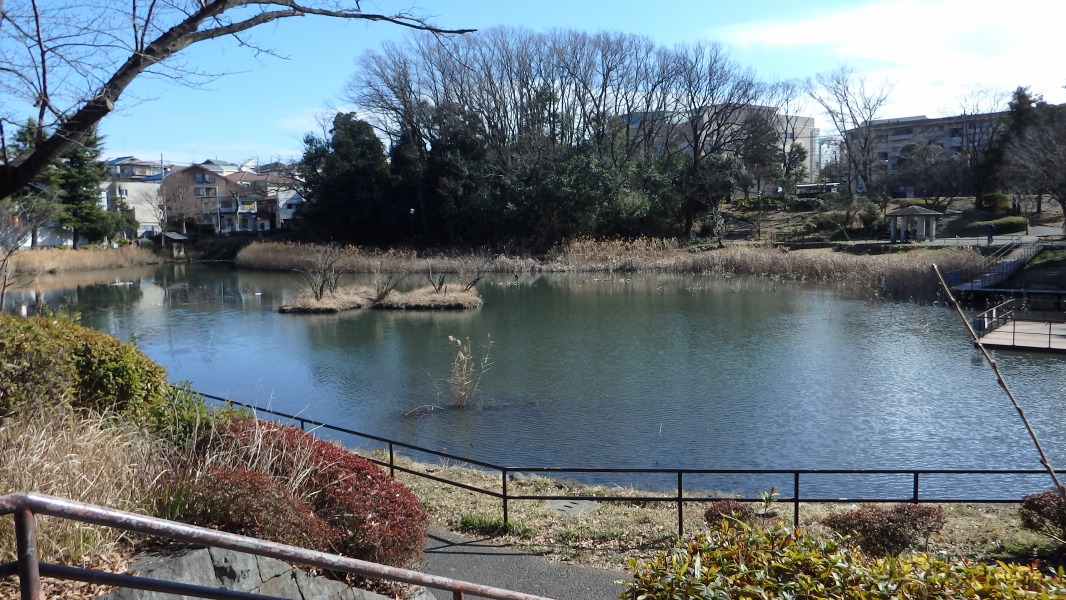 �m 22�^34 �n�@�r�̗l�q