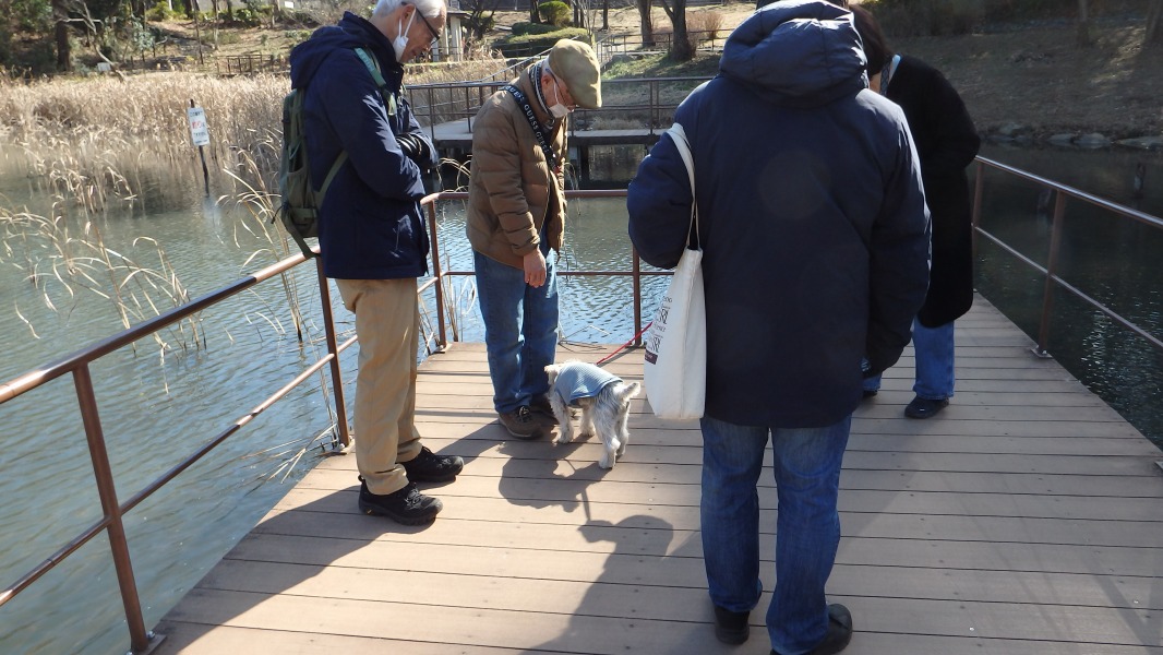 �m 26�^34 �n�@�������ƃ��������B�u�N���N��....�v�B