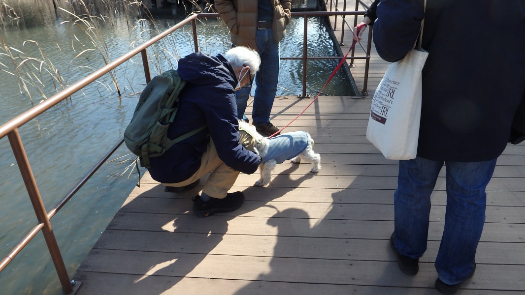 �m 27�^34 �n�@������񂪋C�ɓ������悤��