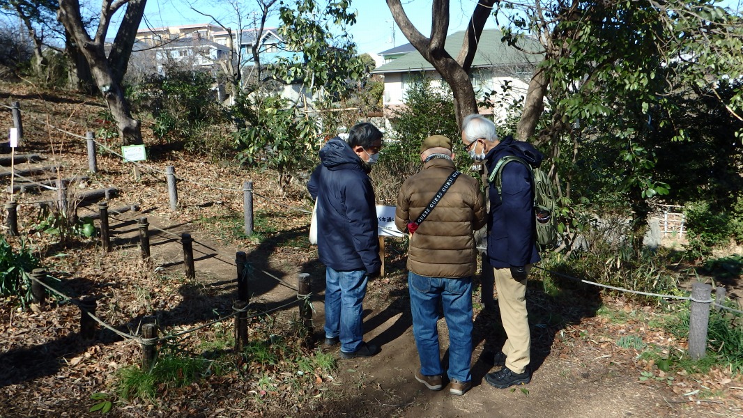 �m 4�^34 �n�@�u�ނׂȂ邩��...�v�Ƃ��A�ǂ�ȈӖ������������H  �i�u����͂� �����Ƃ��ł���v�|weblio�����j