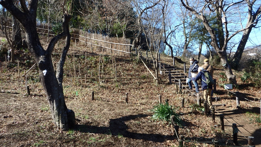 �m 5�^34 �n�@�U���H���̂ڂ�