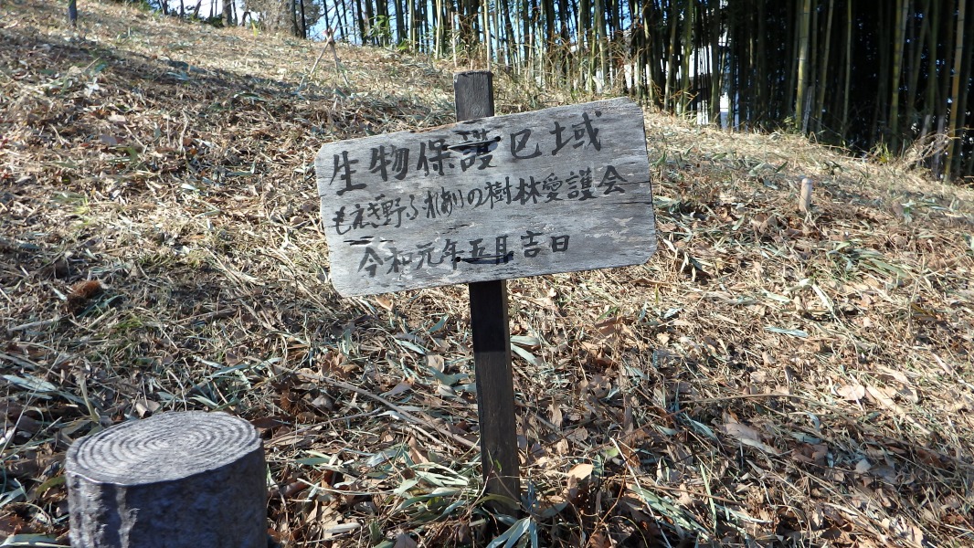 �m 6�^34 �n�@�u�����ی���v�B��������悤���B