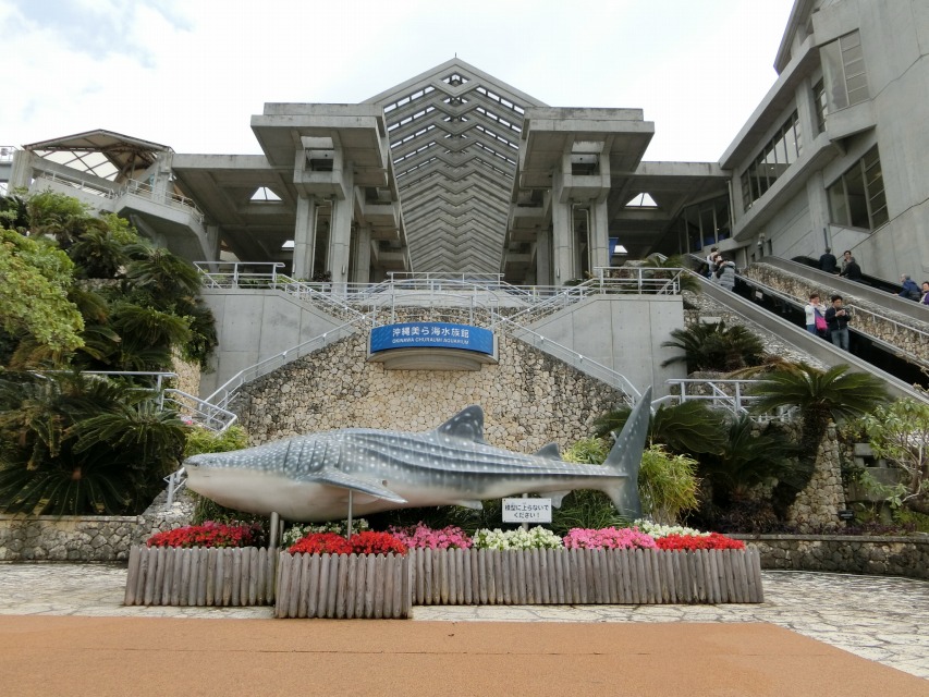 〔 11／30 〕　　なかなか見ごたえのあった沖縄美ら水族館